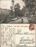 Postales Gran Canaria Gran Canaria View On The Monte Road 1907 - Autres & Non Classés