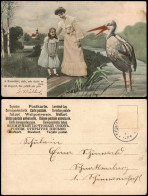 Scherzkarte Mädchen Mutter Klapperstorch Mamachen Sieh Wie Dreist Er Tut 1909 - Humour