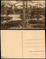 Ansichtskarte Grunewald-Berlin Pechsee 1922 - Grunewald