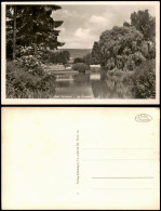 Ansichtskarte Bad Pyrmont Kurpark 1950 - Bad Pyrmont