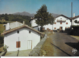 [64] Pyrénées-Atlantiques > Saint Etienne De Baigorry Les Vieilles Fermes - Saint Etienne De Baigorry