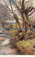 R086539 The Willows By The Stream. Country Charms. Oilette. 1400. Tuck - World