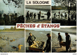 En Sologne Pêche D'étangs N°5677 Animée Multivues Pêcheurs Poissons éditions Valoire Blois - Pêche