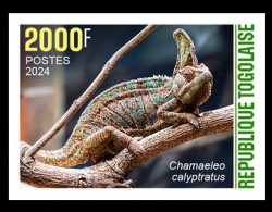 TOGO 2024 STAMP 1V IMPERF 2000F - CAMOUFLAGE - CHAMELEON CHAMELEONS CAMELEON CAMELEONS - MNH - Andere & Zonder Classificatie