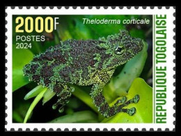 TOGO 2024 STAMP 1V 2000F - CAMOUFLAGE - FROG FROGS GRENOUILLE GRENOUILLES AMPHIBIANS AMPHIBIENS - MNH - Ranas