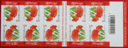 Boekje/carnet B43 - Bloemen Anjer / ** MNH 2004 - 1997-… Permanent Validity [B]