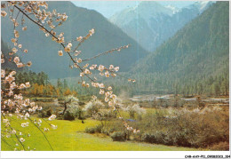 CAR-AAYP11-CHINE-0833 - Scenic Tibet - Paisajes Del Tibet - Spring Comes Early In Southern Tibet - Primavera En El  - China