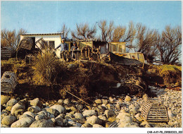 CAR-AAYP8-85-0595 - ILE D'YEU - Cabane De Pecheurs Aux Corbeaux - Ile D'Yeu