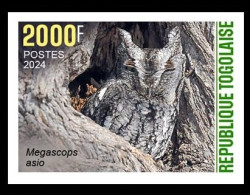 TOGO 2024 STAMP 1V IMPERF 2000F - CAMOUFLAGE - OWL OWLS HIBOU HIBOUX - BIRDS OISEAUX - MNH - Eulenvögel