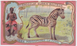 CHROMOS - CHROMO - CHOCOLAT GUERIN BOUTRON - LES MAMMIFERES - LE ZEBRE - Guérin-Boutron