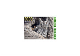 TOGO 2024 DELUXE PROOF - CAMOUFLAGE - OWL OWLS HIBOU HIBOUX - BIRDS OISEAUX - Hiboux & Chouettes