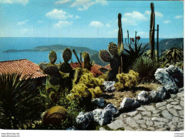 06 EZE Village Végétations Exotiques Au Fond Le Cap Ferrat En 1967 éditions S.E.P.T Nice Cactus - Eze