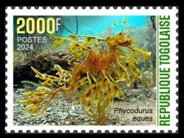 TOGO 2024 STAMP 1V 2000F - CAMOUFLAGE - SEAHORSE SEAHORSES SEA HORSE HIPPOCAMPE HIPPOCAMPUS FISH POISSONS - MNH - Vissen