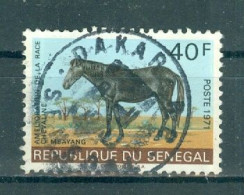 REPUBLIQUE DU SENEGAL - N°343 Oblitéré - Amélioration De La Race Chevaline (I).. - Pferde