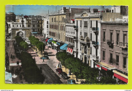 TUNIS N°237 Porte Et Avenue De France En 1957 Magasins Citroën Traction Peugeot 202 Tram Tramway Trolley Bus VOIR DOS - Tunisia