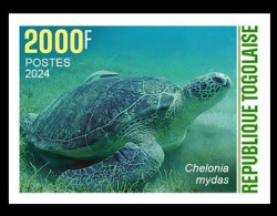 TOGO 2024 STAMP 1V IMPERF 2000F - CAMOUFLAGE - GREEN TURTLE TURTLES TORTUE VERTE TORTUES - REPTILES - MNH - Tortues