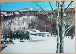 CARTOLINA ITALIA 1981 BOLOGNA ALTO APPENNINO VAL CARLINA RIFUGIO CAVONE Italy Postcard ITALIEN Ansichtskarten - Bologna