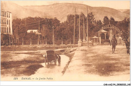 CAR-AAZP4-0320 - LIBAN - DAMAS - Le Jardin Public  - Lebanon