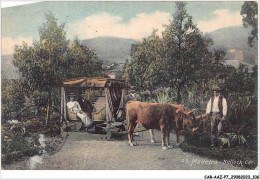 CAR-AAZP7-0555 - PORTUGAL - MADEIRA - Bullock Car  - Madeira