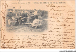 CAR-AAZP13-1046 - AGRICULTURE - Les Vendanges En Champagne - Un Triage  - Landbouw