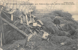 Petit Noir Canton Chemin Inondations 1910 Vache Ferme Agriculture Attention état - Autres & Non Classés