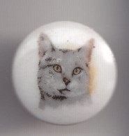 Pin's A.M. En Porcelaine De Limoges Chat Réf 8134 - Animali