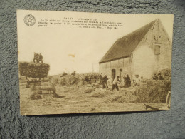 Cpa La Lys Le Battage Du Lin - Kortrijk