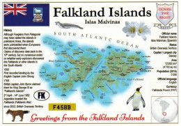 1 Map Of Falkland Islands * 1 Landkarte Von Den Falkland Inseln Mit Informationen Und Der Flagge Von Falkland * - Landkarten