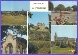 Carte Postale 24. Salignac    Très Beau Plan - Andere & Zonder Classificatie