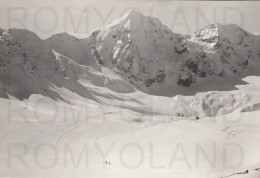 CARTOLINA  C13 GRUPPO DELL'ORTLES,BOLZANO,TRENTINO ALTO ADIGE-GRAN ZEBRU DAL PASSO DI LAGO GELATO-VACANZA,NON VIAGGIATA - Bolzano (Bozen)