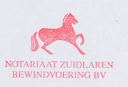 Meter Top Cut Netherlands 1998 Horse - Horses