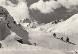 CARTOLINA  C13 VAL MARTELLO,BOLZANO,TRENTINO ALTO ADIGE-VENOSTA-DINTORNI RIFUGIO NINO CORSI M.2255-NON VIAGGIATA - Bolzano