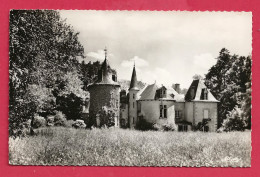 C.P. Chamboulive =  Château  De GOURDON - Tulle