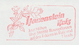 Meter Cut Switzerland 1988 Flower - Rose - Otros & Sin Clasificación
