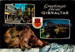 72940450 Gibraltar Affen Strassenansicht  Gibraltar - Gibraltar