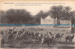 R086593 Port Said. Caravane Affectee Au Ravitaillement Des Troupes Anglaises - Monde