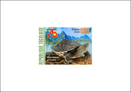 TOGO 2024 DELUXE PROOF - CHINA 75TH ANNIVERSARY - TURTLE TURTLES TORTUE TORTUES REPTILES - Turtles