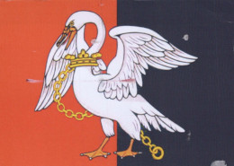 UCCELLO Animale Vintage Cartolina CPSM #PBR544.IT - Oiseaux