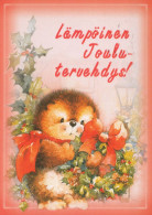 RICCIO Animale Vintage Cartolina CPSM #PBR215.IT - Sonstige & Ohne Zuordnung