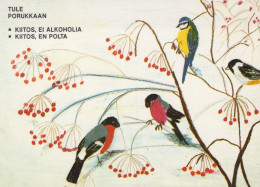 UCCELLO Animale Vintage Cartolina CPSM #PAN229.IT - Birds