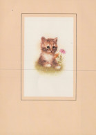 GATTO KITTY Animale Vintage Cartolina CPSM #PAM228.IT - Katzen