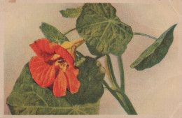 FLOWERS Vintage Postcard CPA #PKE666.GB - Blumen