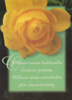 FLOWERS Vintage Postcard CPSM #PBZ670.GB - Blumen