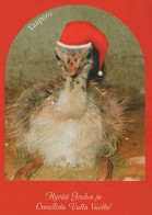 BIRD Animals Vintage Postcard CPSM #PBR604.GB - Birds