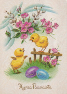 EASTER CHICKEN EGG Vintage Postcard CPSM #PBO657.GB - Pâques