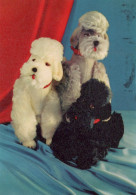 DOG Animals Vintage Postcard CPSM #PAN737.GB - Honden