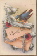 OISEAU Vintage Carte Postale CPSMPF #PKG967.FR - Birds