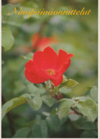 FLEURS Vintage Carte Postale CPSM #PAS265.FR - Flowers