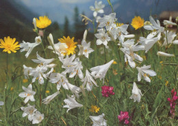 FLEURS Vintage Carte Postale CPSM #PAR243.FR - Flowers