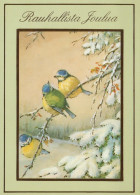 OISEAU Animaux Vintage Carte Postale CPSM #PAM854.FR - Vögel